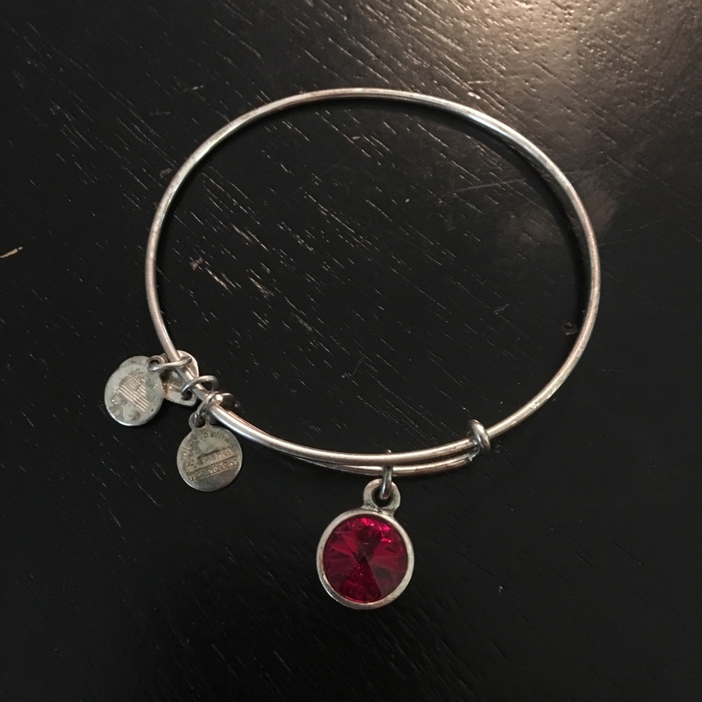 Alex and Ani Birthstone Bracelet for January!